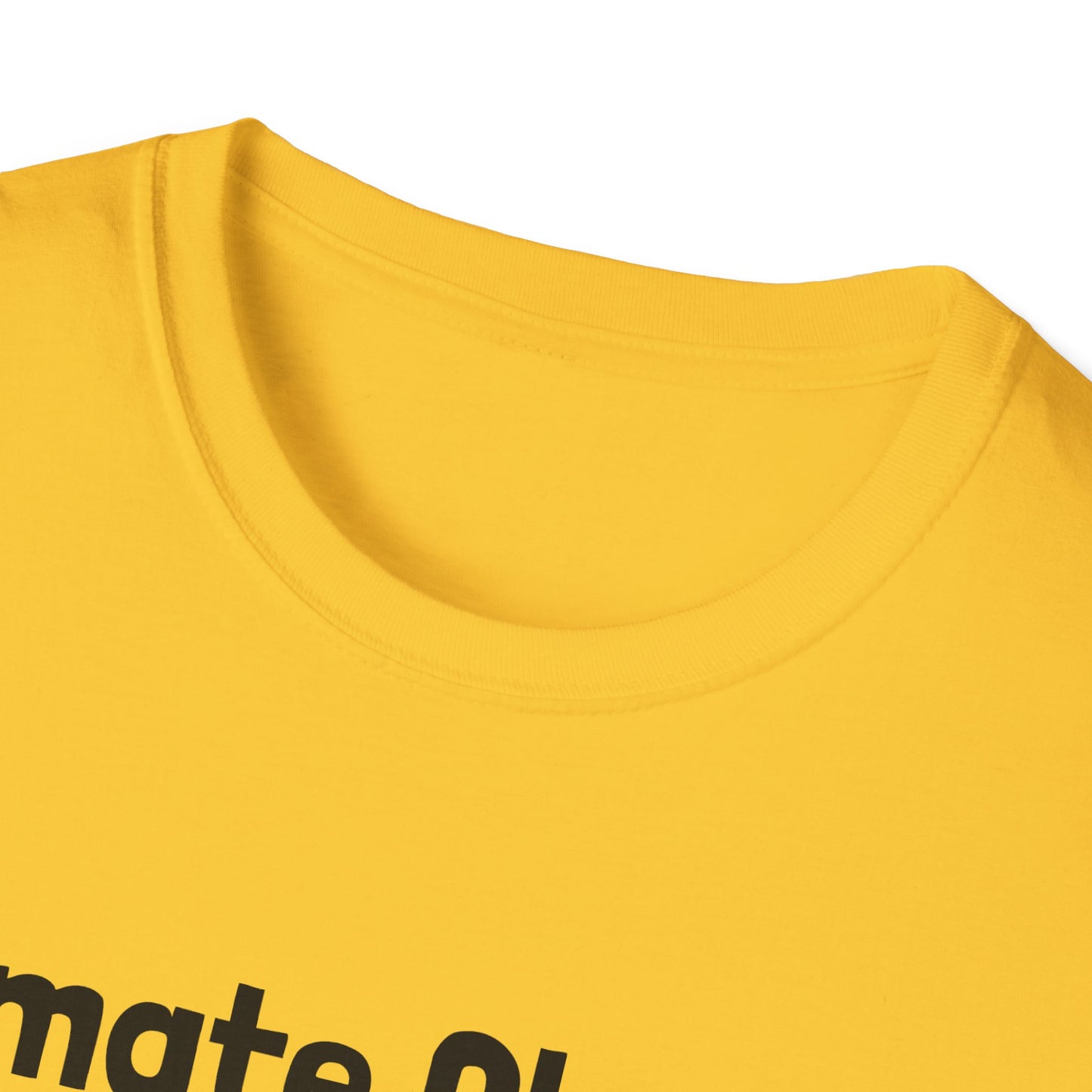 Cat Themed Climate Change T-Shirt