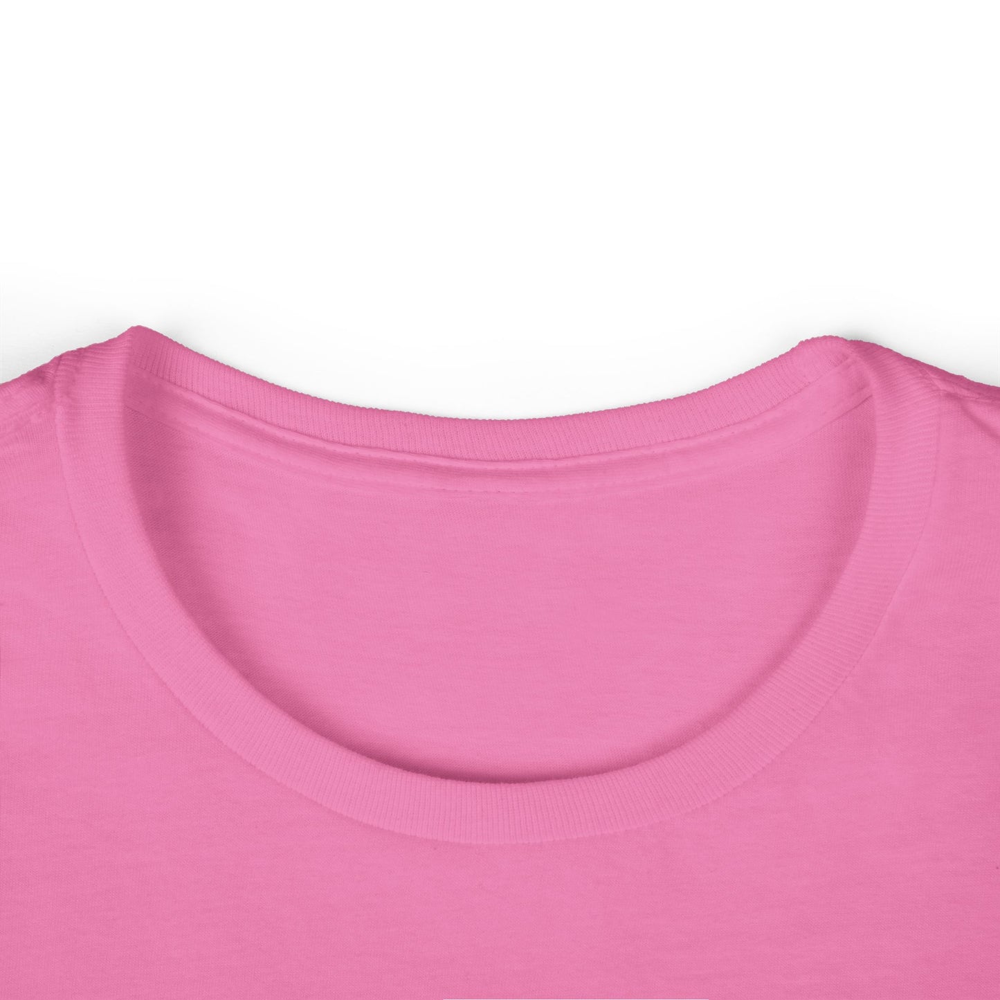 Cat Hair and Democracy T-Shirt - Women's Softstyle Tee