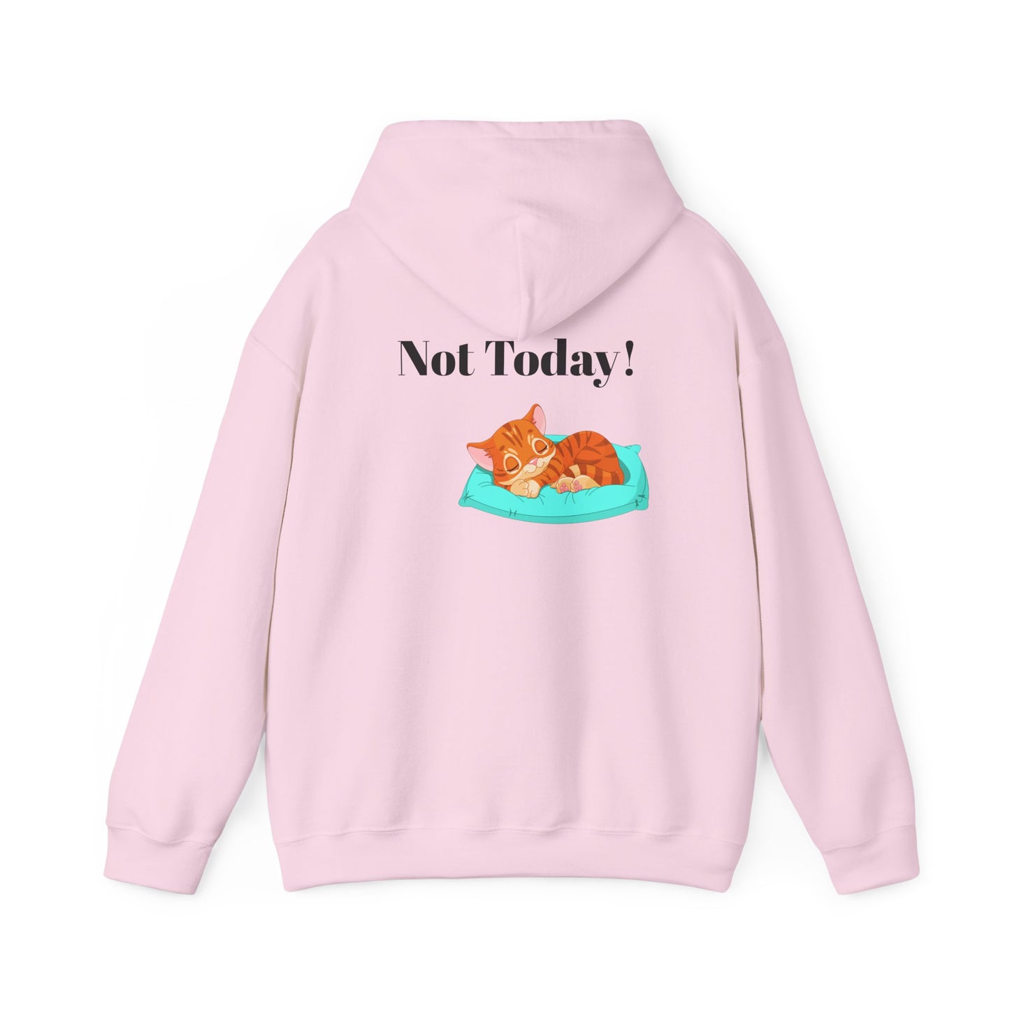 Funny Cat Hoodie - 'You Gotta Be Kitten Me!' & 'Not Today!' Lazy Day Wear