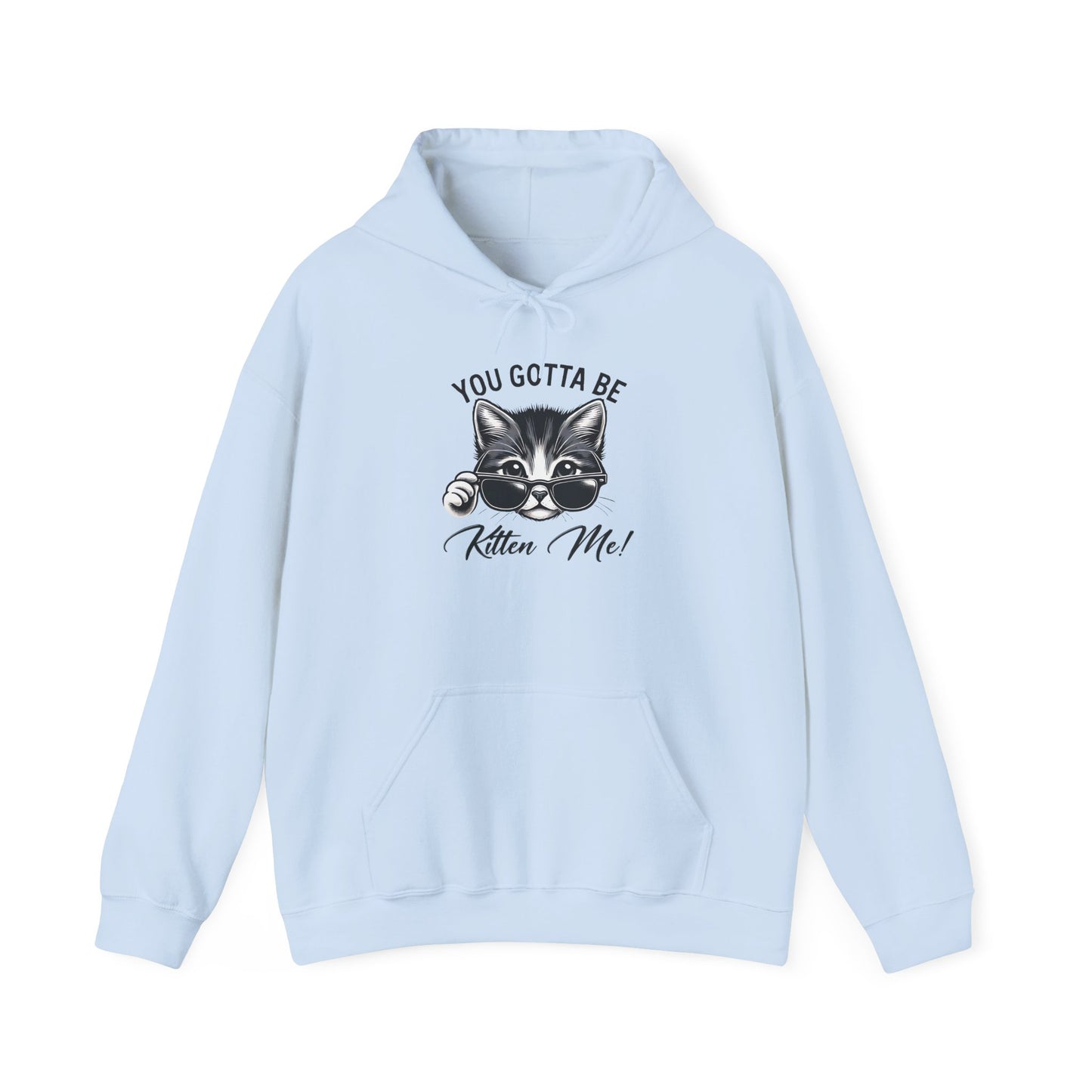 Funny Cat Hoodie - 'You Gotta Be Kitten Me!' & 'Not Today!'  Lazy Day Wear
