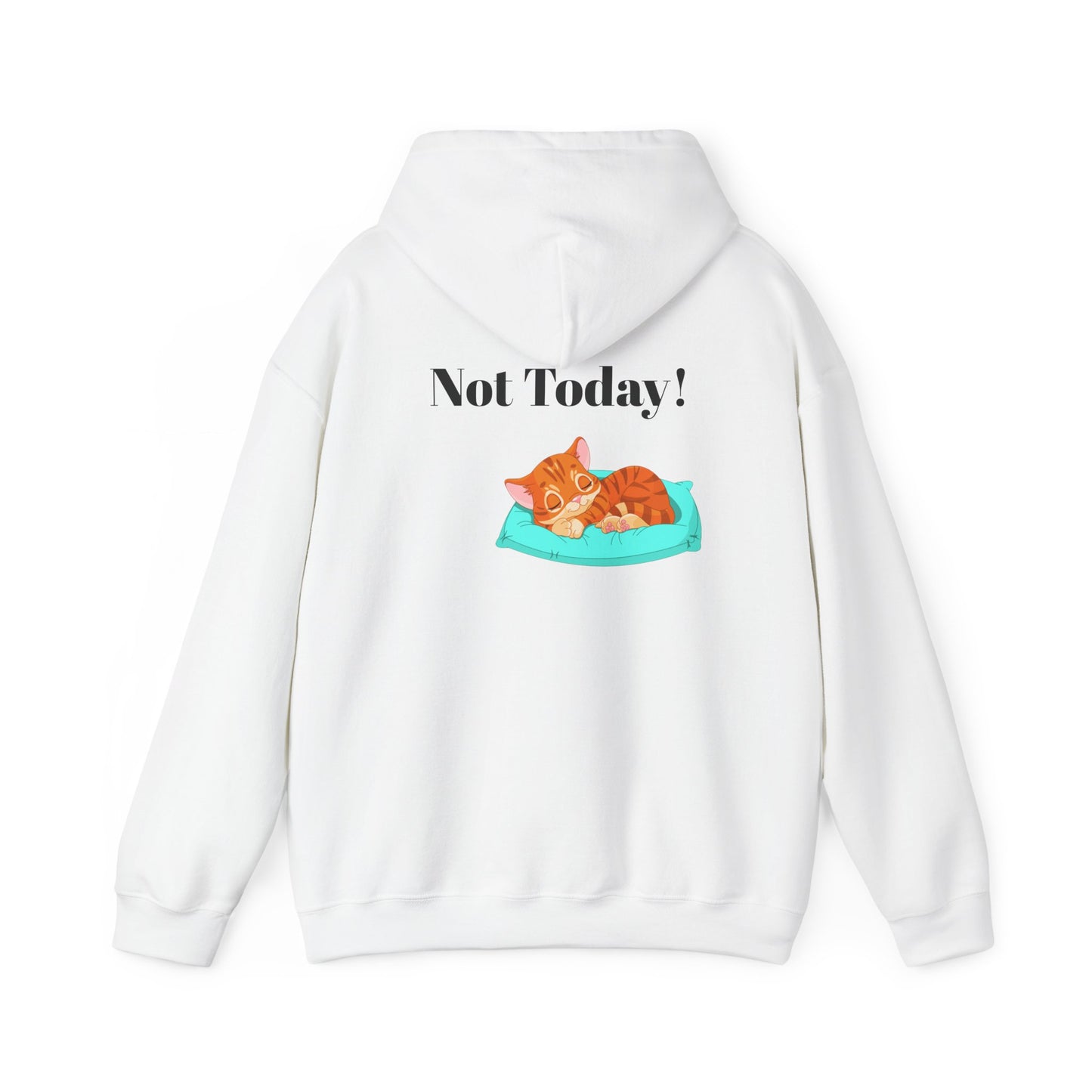 Funny Cat Hoodie - 'You Gotta Be Kitten Me!' & 'Not Today!'  Lazy Day Wear
