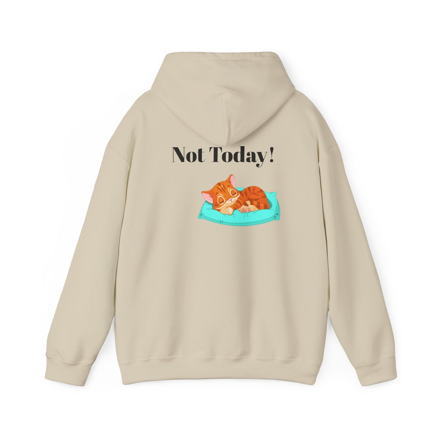 Funny Cat Hoodie - 'You Gotta Be Kitten Me!' & 'Not Today!'  Lazy Day Wear