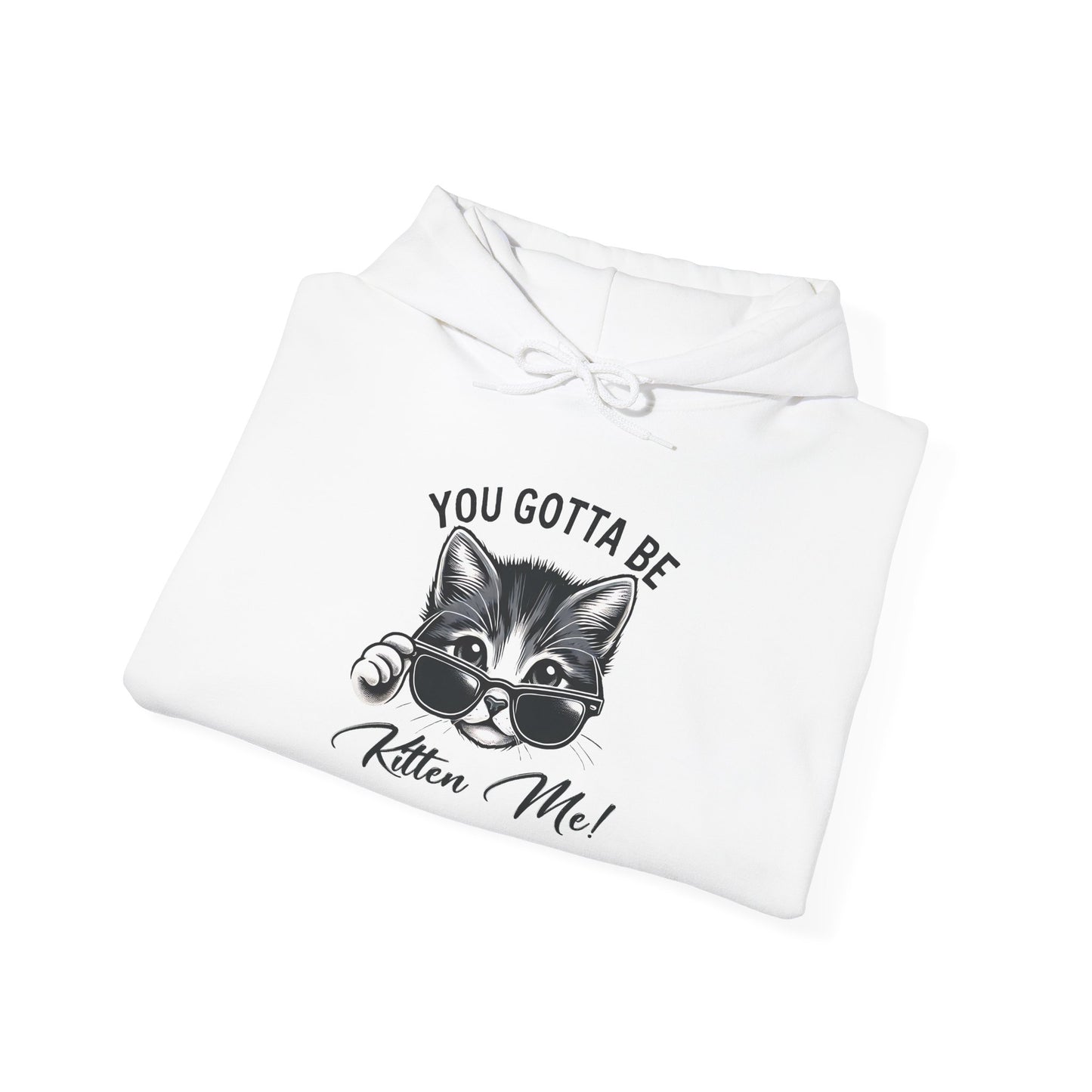 Funny Cat Hoodie - 'You Gotta Be Kitten Me!' & 'Not Today!'  Lazy Day Wear