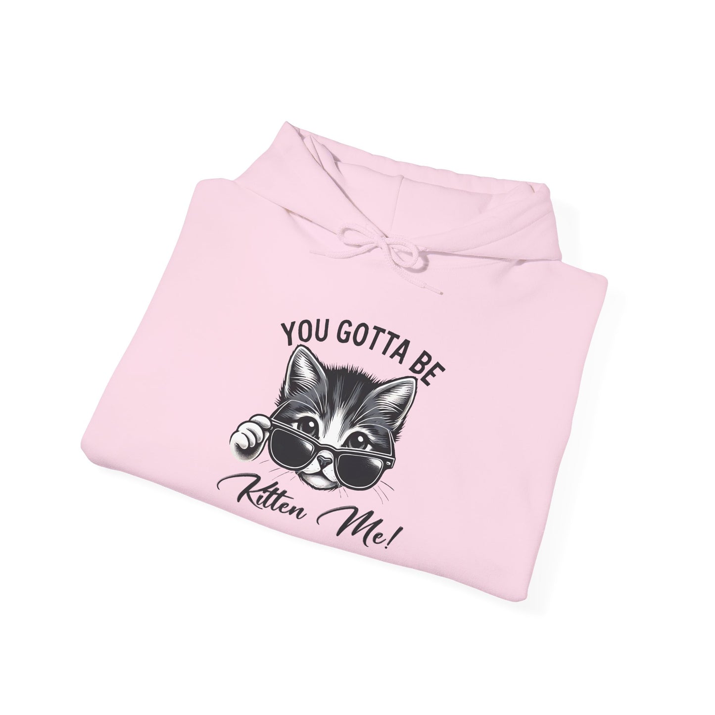 Funny Cat Hoodie - 'You Gotta Be Kitten Me!' & 'Not Today!'  Lazy Day Wear