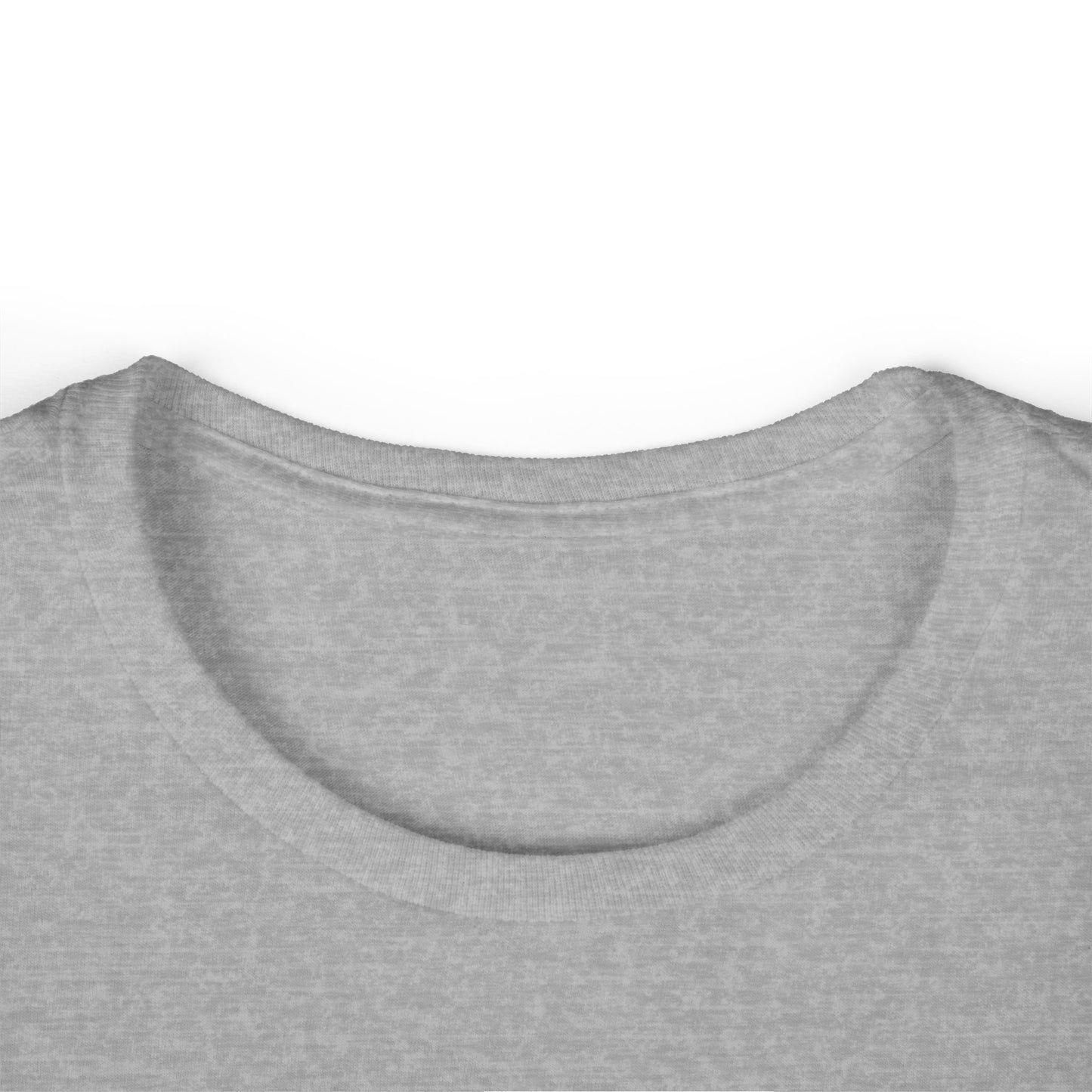 Cat Hair and Democracy T-Shirt - Women's Softstyle Tee