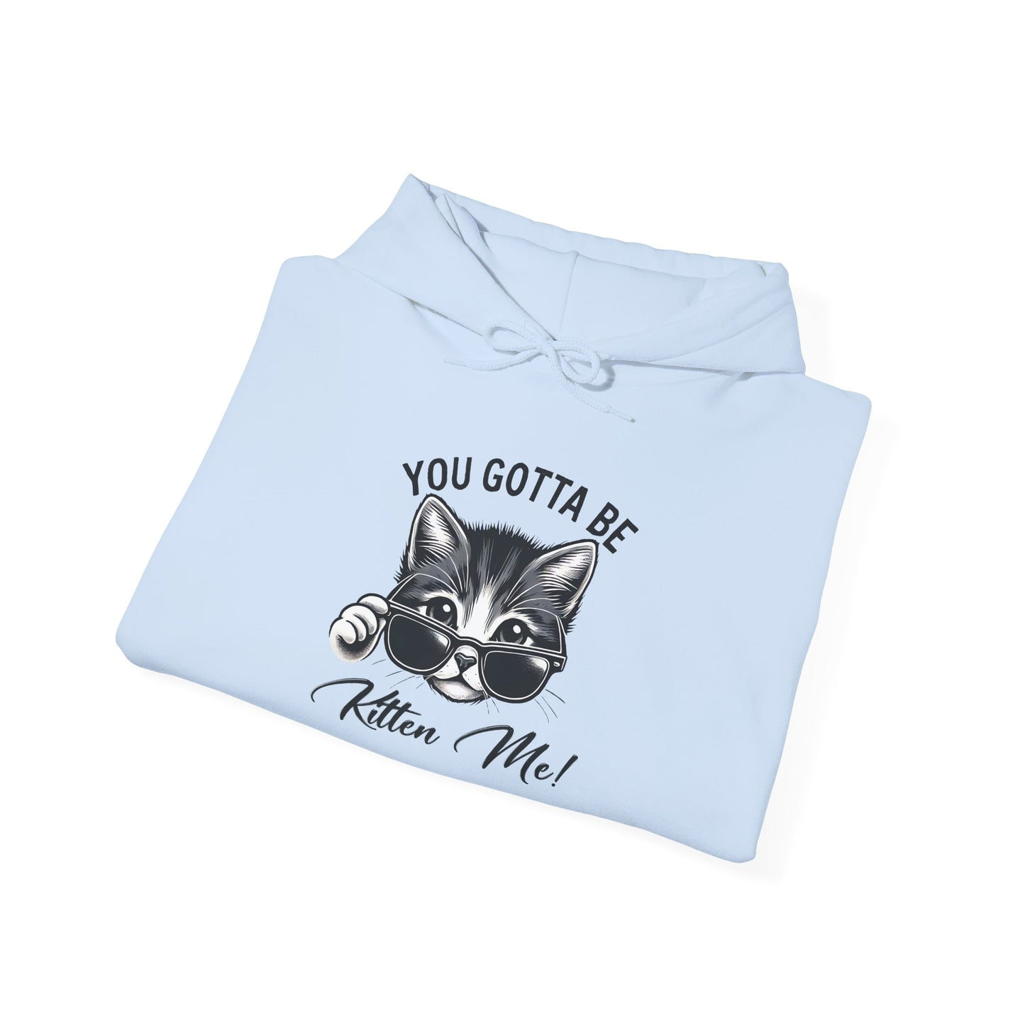 Funny Cat Hoodie - 'You Gotta Be Kitten Me!' & 'Not Today!'  Lazy Day Wear