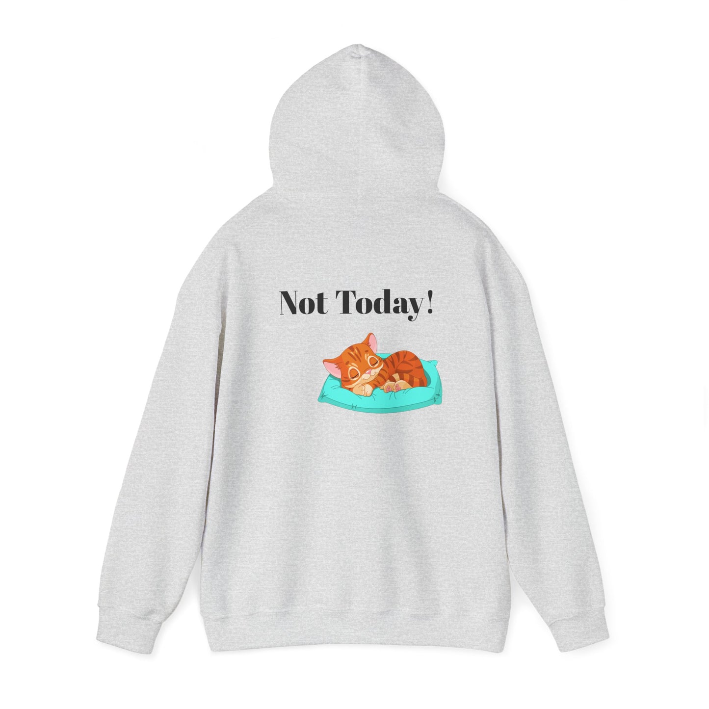 Funny Cat Hoodie - 'You Gotta Be Kitten Me!' & 'Not Today!'  Lazy Day Wear