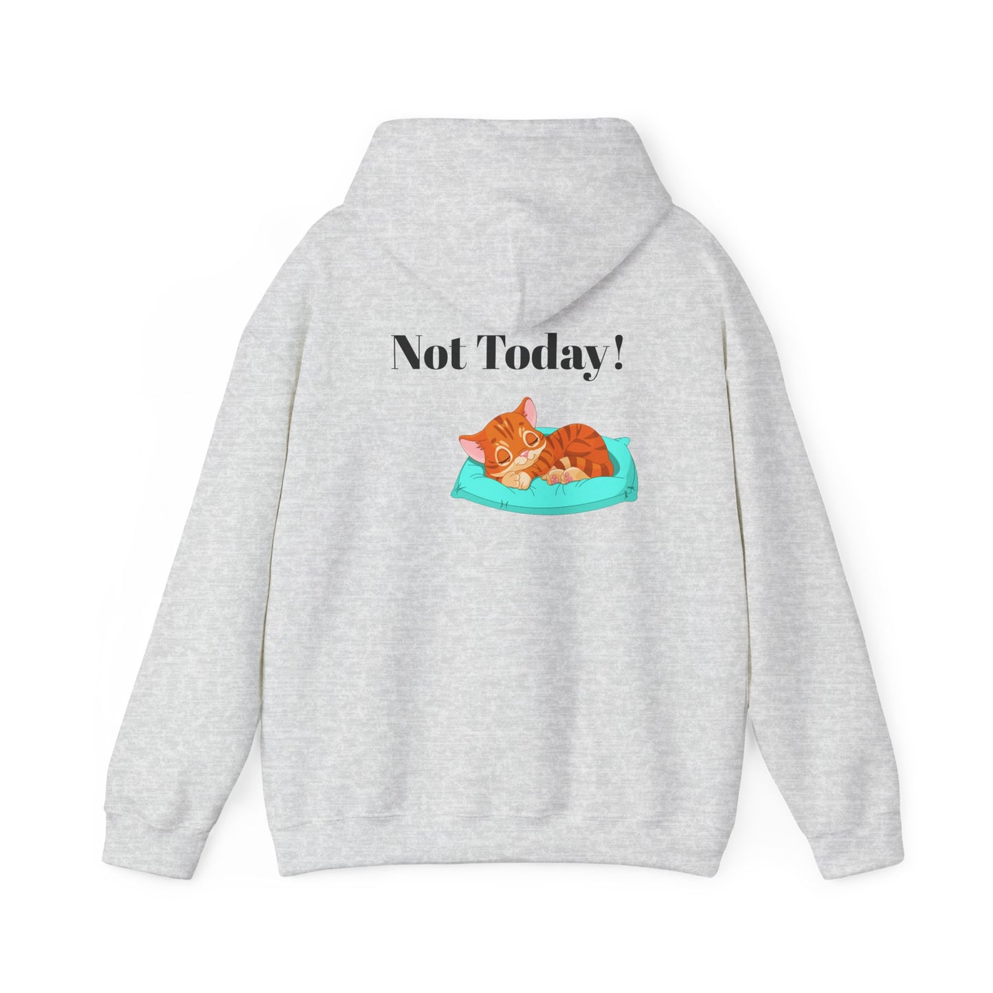 Funny Cat Hoodie - 'You Gotta Be Kitten Me!' & 'Not Today!'  Lazy Day Wear