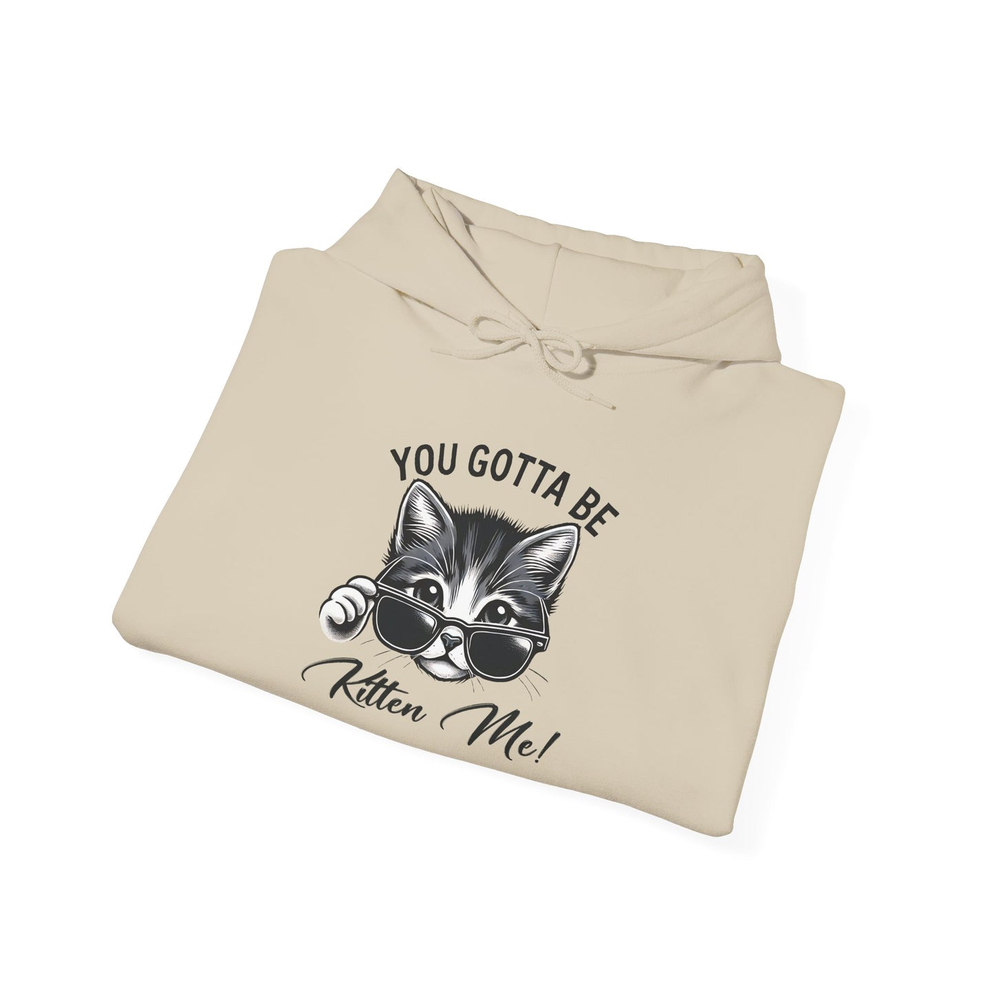 Funny Cat Hoodie - 'You Gotta Be Kitten Me!' & 'Not Today!'  Lazy Day Wear