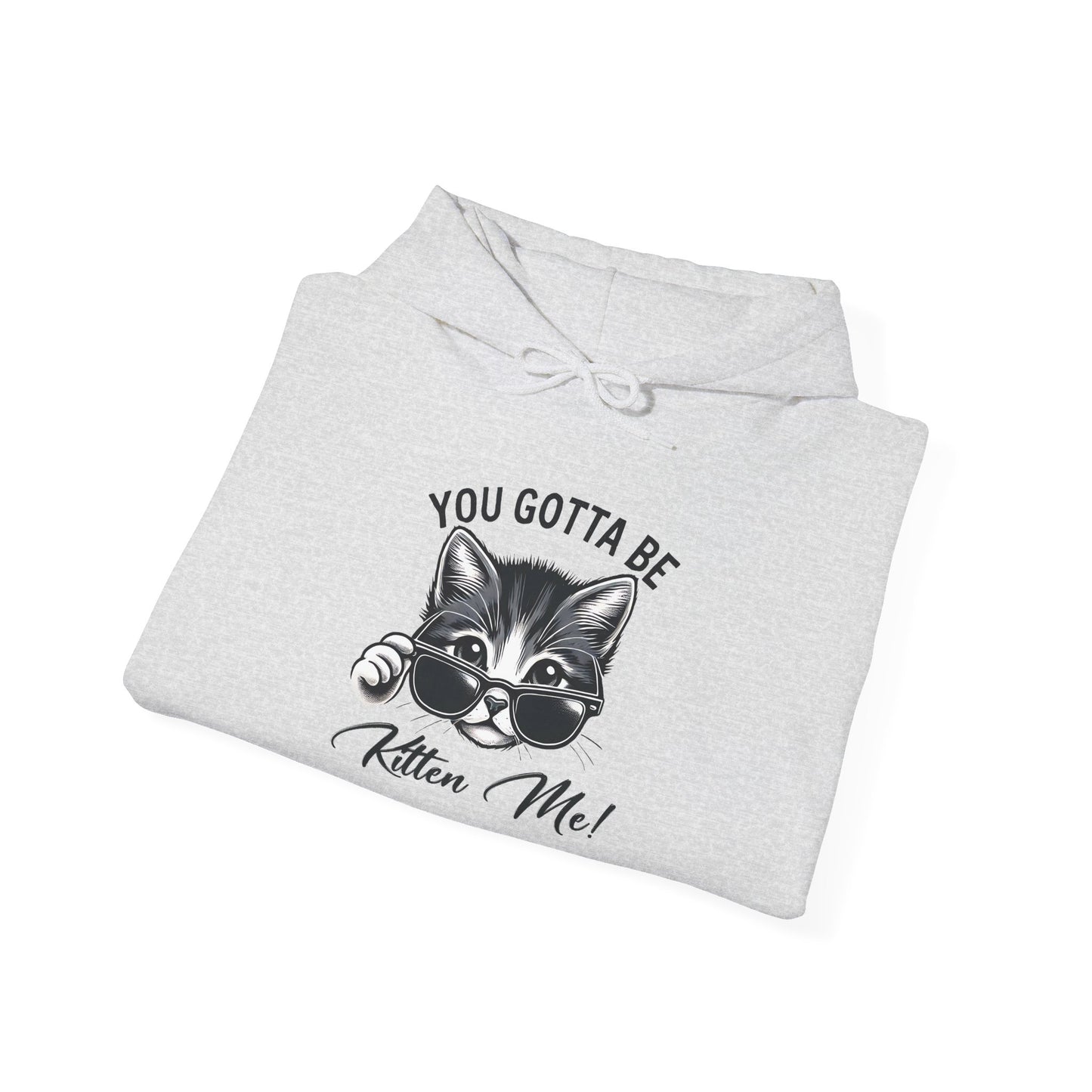 Funny Cat Hoodie - 'You Gotta Be Kitten Me!' & 'Not Today!'  Lazy Day Wear
