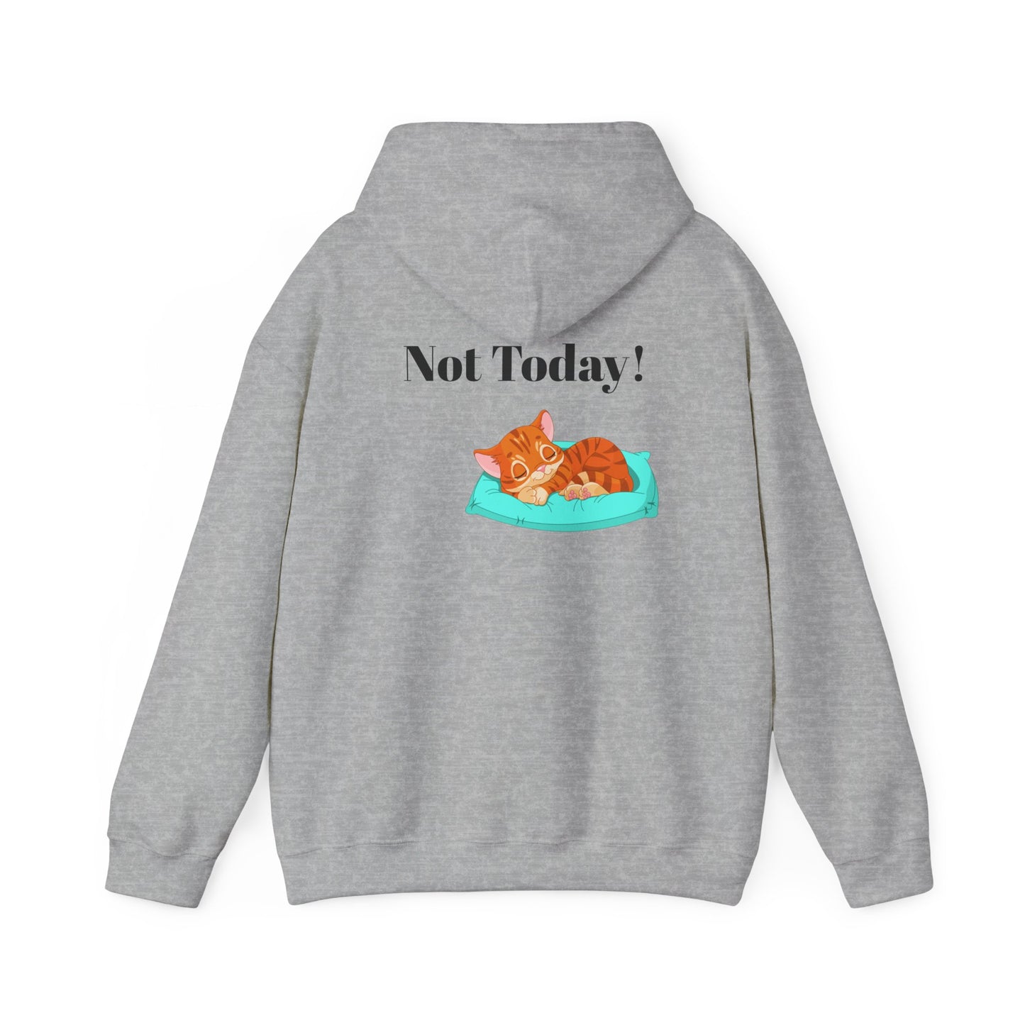 Funny Cat Hoodie - 'You Gotta Be Kitten Me!' & 'Not Today!'  Lazy Day Wear