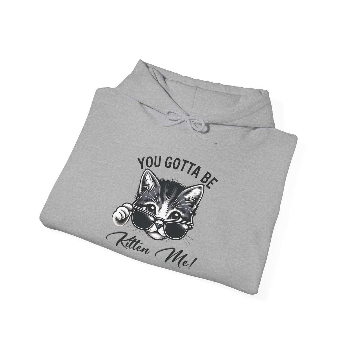 Funny Cat Hoodie - 'You Gotta Be Kitten Me!' & 'Not Today!'  Lazy Day Wear