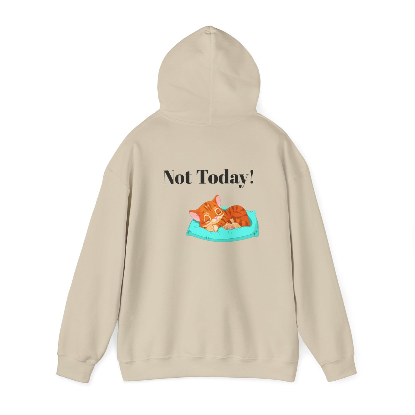 Funny Cat Hoodie - 'You Gotta Be Kitten Me!' & 'Not Today!'  Lazy Day Wear