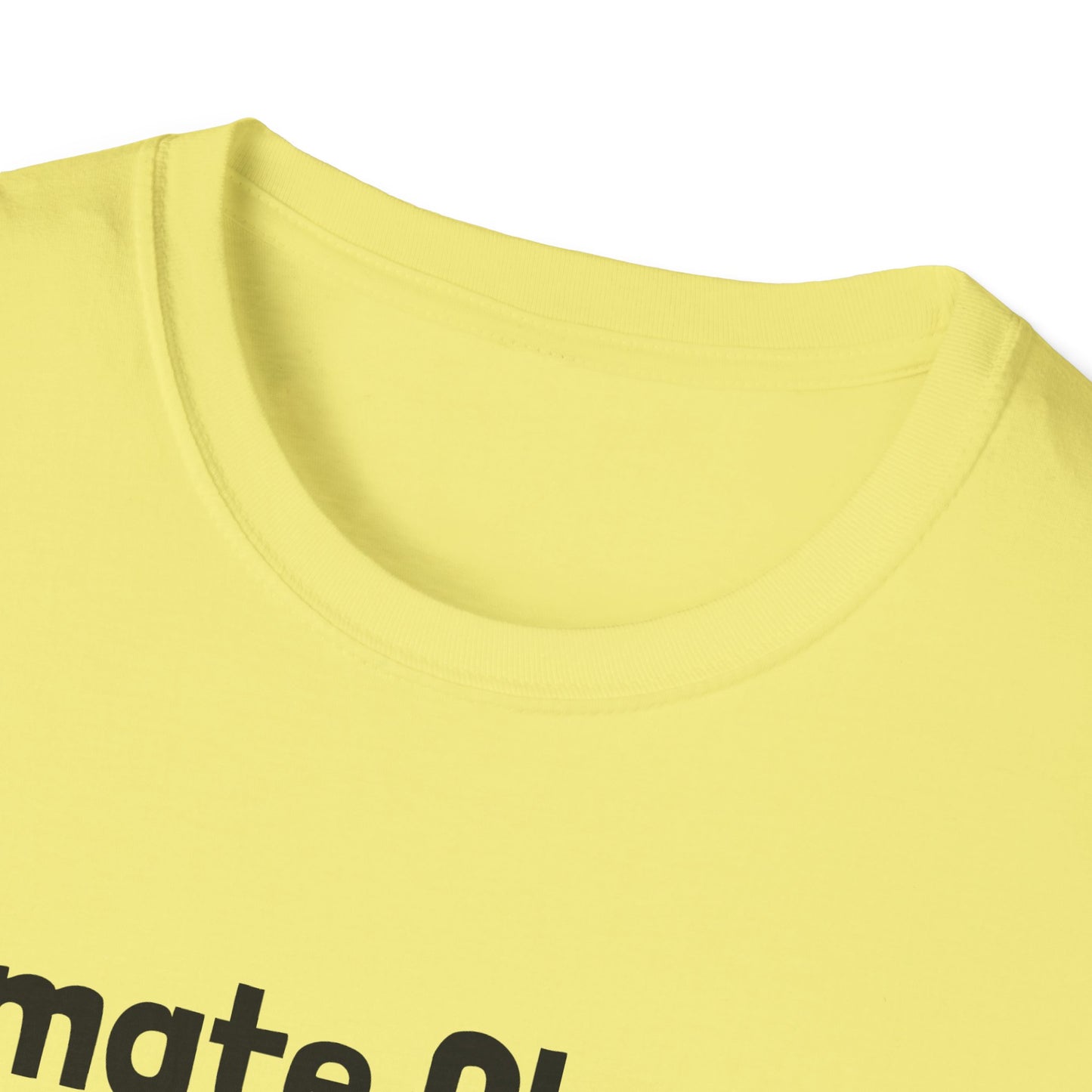 Cat Themed Climate Change T-Shirt