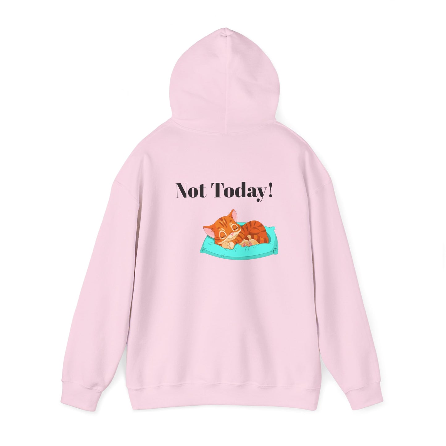Funny Cat Hoodie - 'You Gotta Be Kitten Me!' & 'Not Today!'  Lazy Day Wear