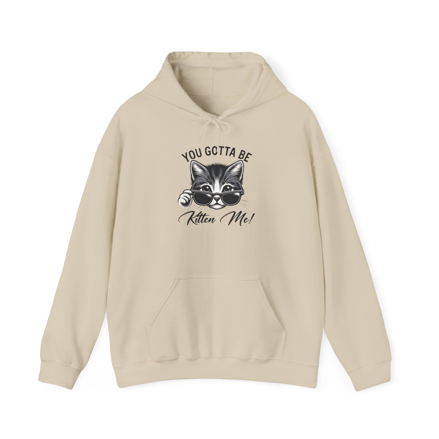 Funny Cat Hoodie - 'You Gotta Be Kitten Me!' & 'Not Today!'  Lazy Day Wear