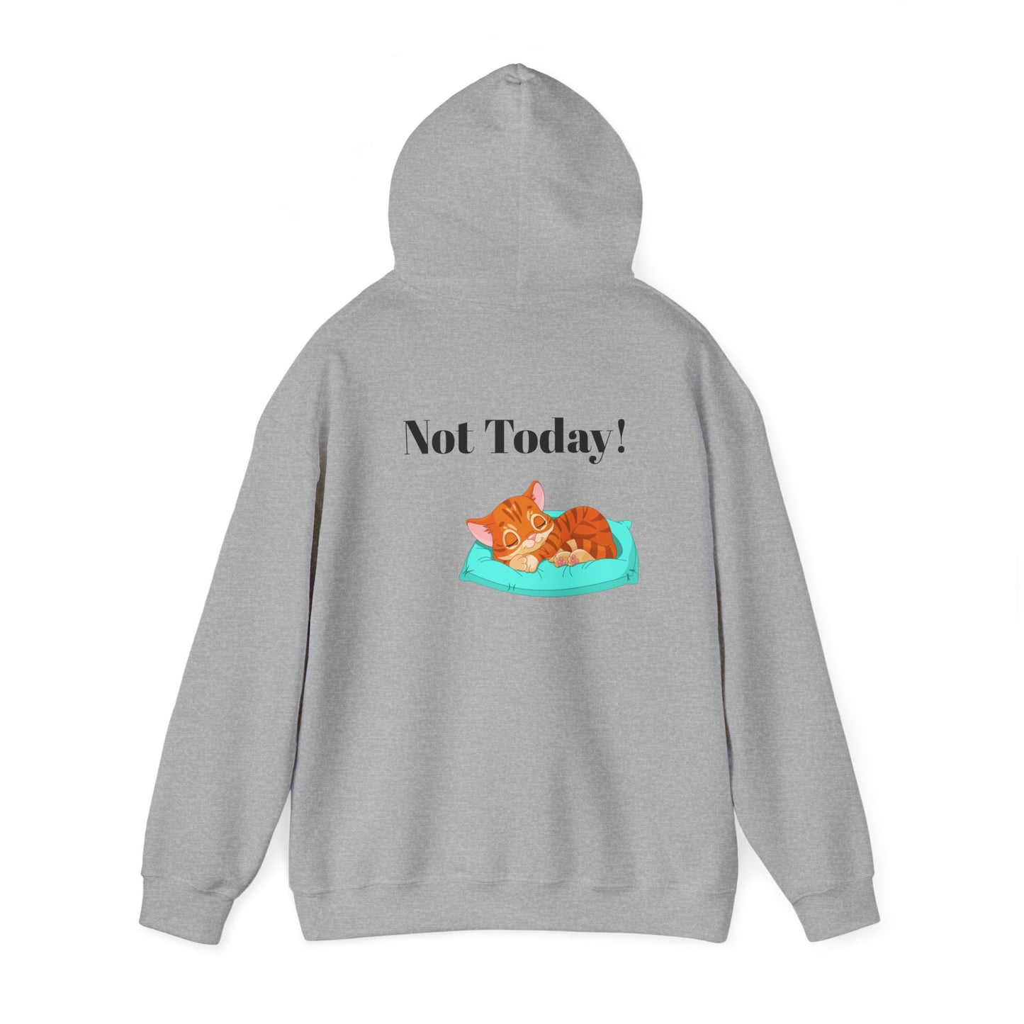 Funny Cat Hoodie - 'You Gotta Be Kitten Me!' & 'Not Today!'  Lazy Day Wear